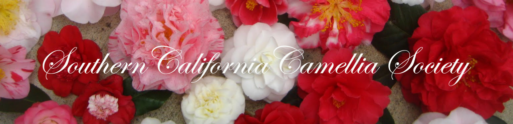 Southern California Camellia Society